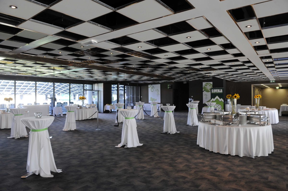 VIP Stadion Stožice